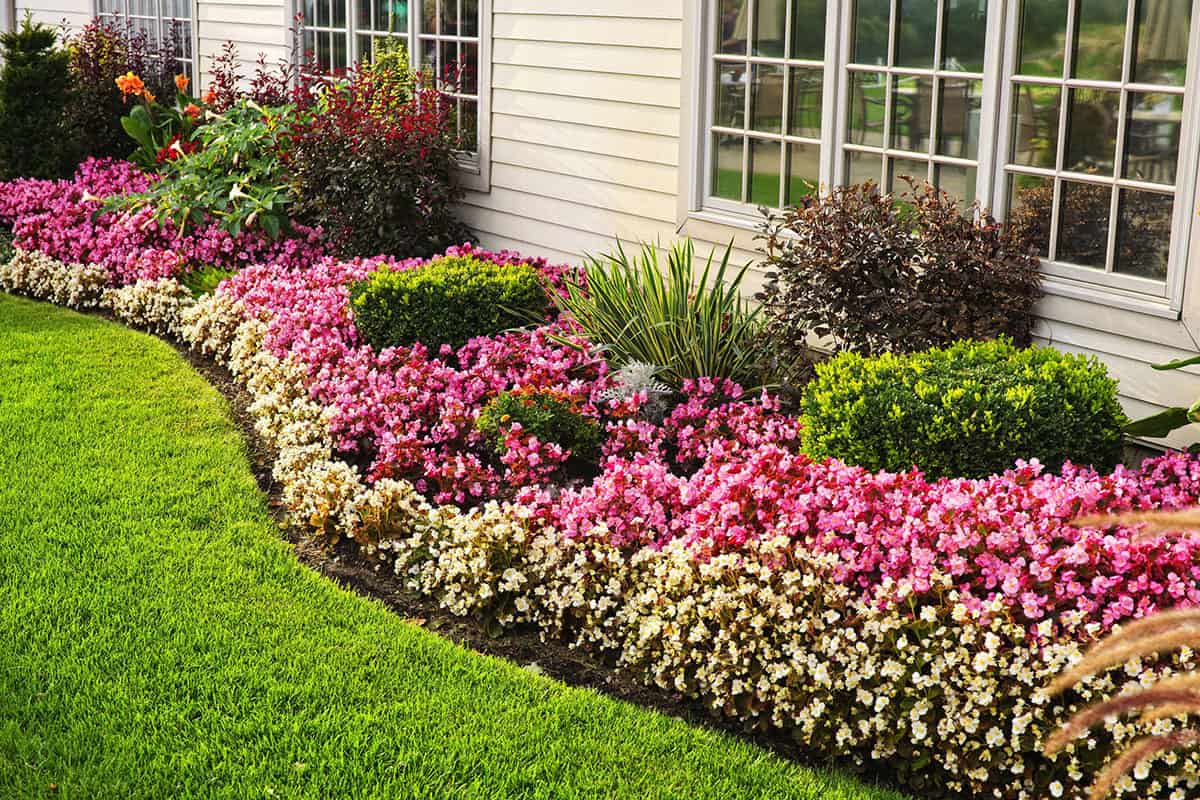 Home Improvements - Landscaping