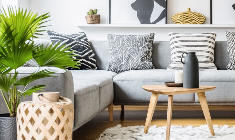 Decorate with some indoor plants